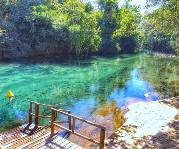 Bonito ms (1)
